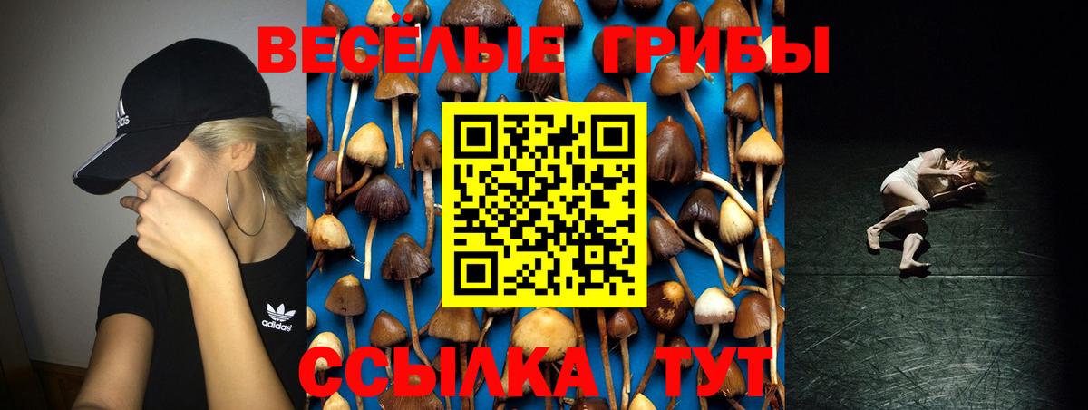 Псилоцибиновые грибы Cubensis Заводоуковск