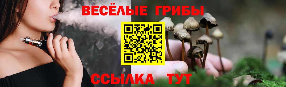 Псилоцибиновые грибы Magic Shrooms  Псилоцибиновые грибы мицелий  Вход с VPN  цена   Заводоуковск 